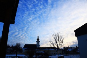 IMG_5432
